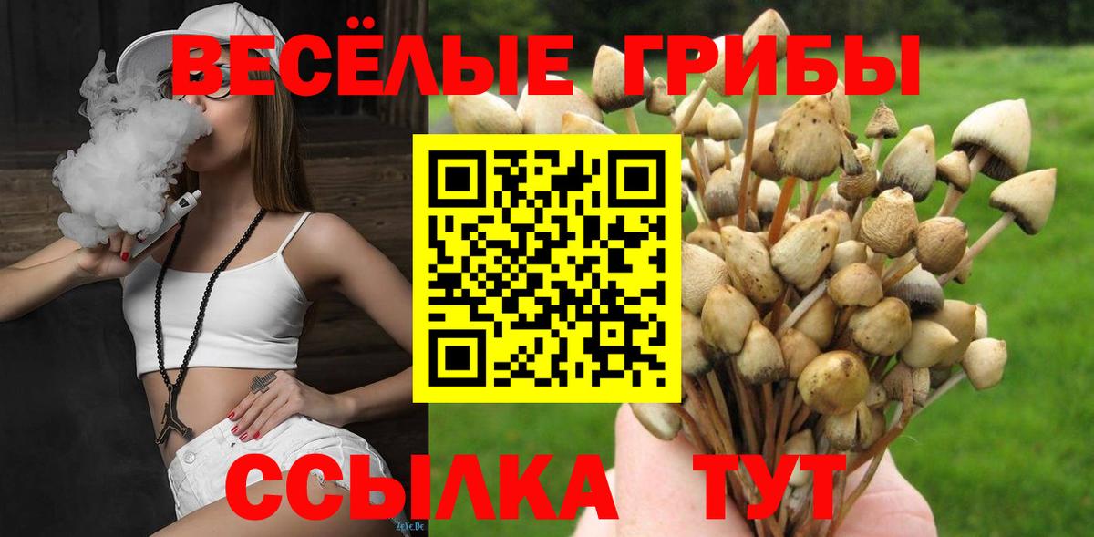 купить   Вход с VPN  Алексеевка  Галлюциногенные грибы Psilocybe 